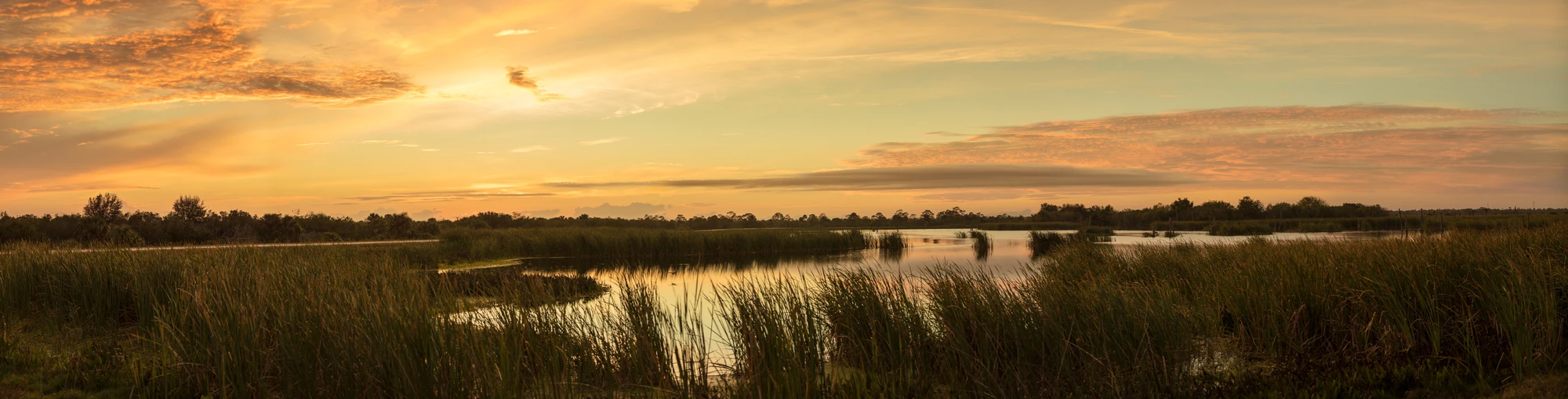 Last Light Over the Marsh: Chasing Everglades Sunsets